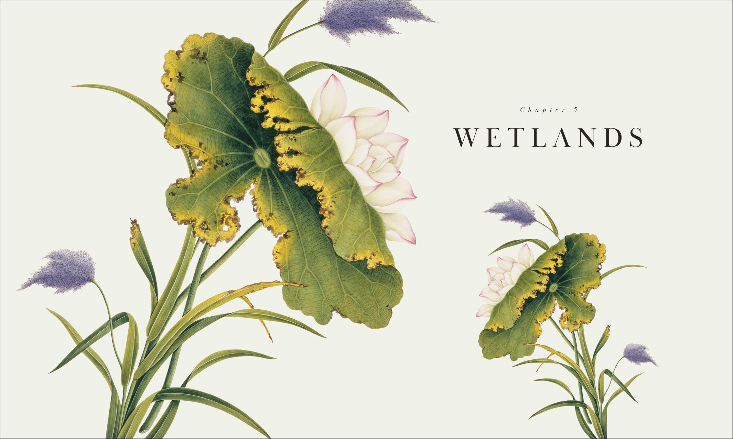 Atlas of Botany: An Exploration of Plants Across Time and Around the World