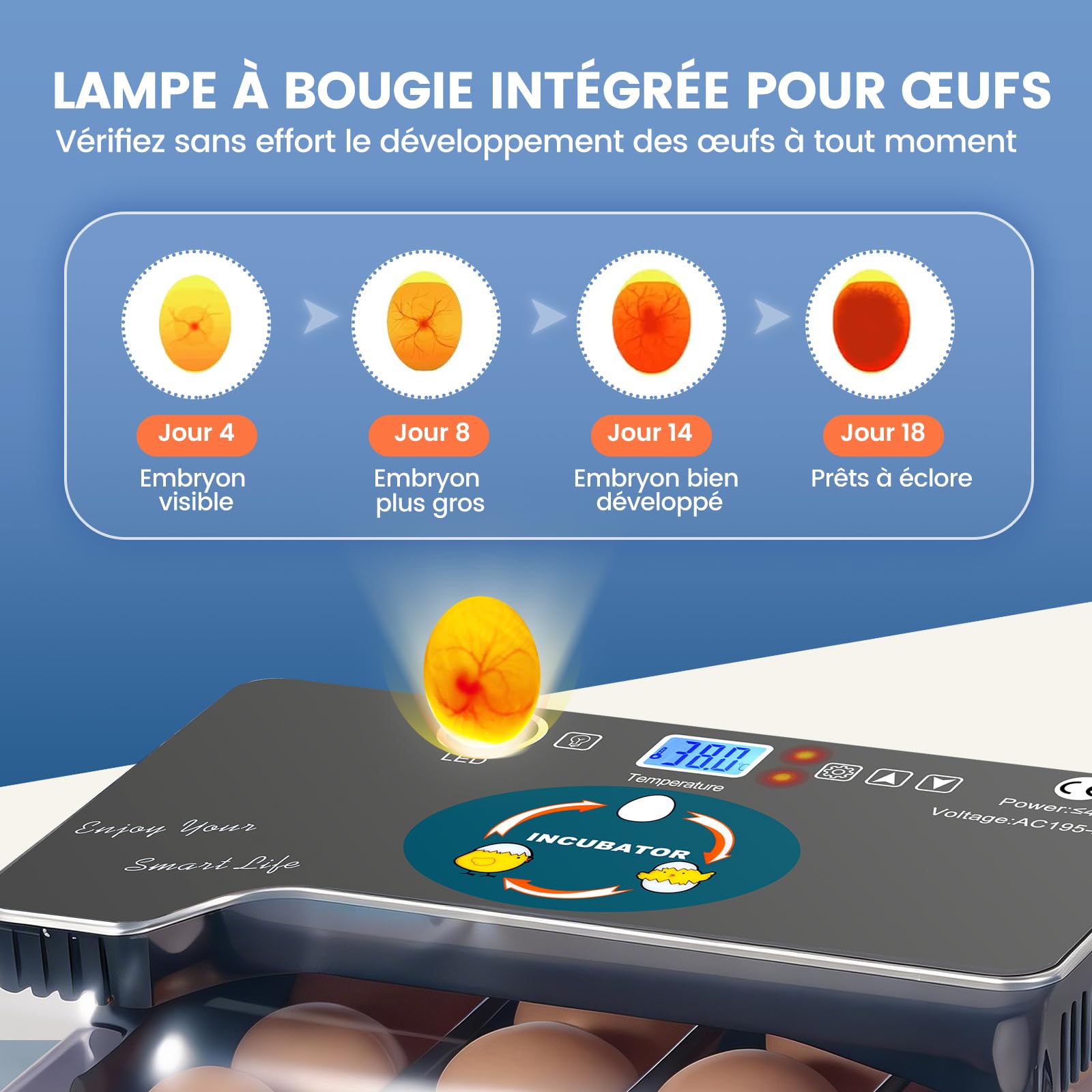 Couveuse Oeuf Automatique, 12 Couveuses Avec ContrôLe Intelligent Et PréCis de la TempéRature et de L'Humidité, éClairage Led Efficace, Incubateur Tortue, Adapté Aux Poules, Oies, Canards, Pigeons