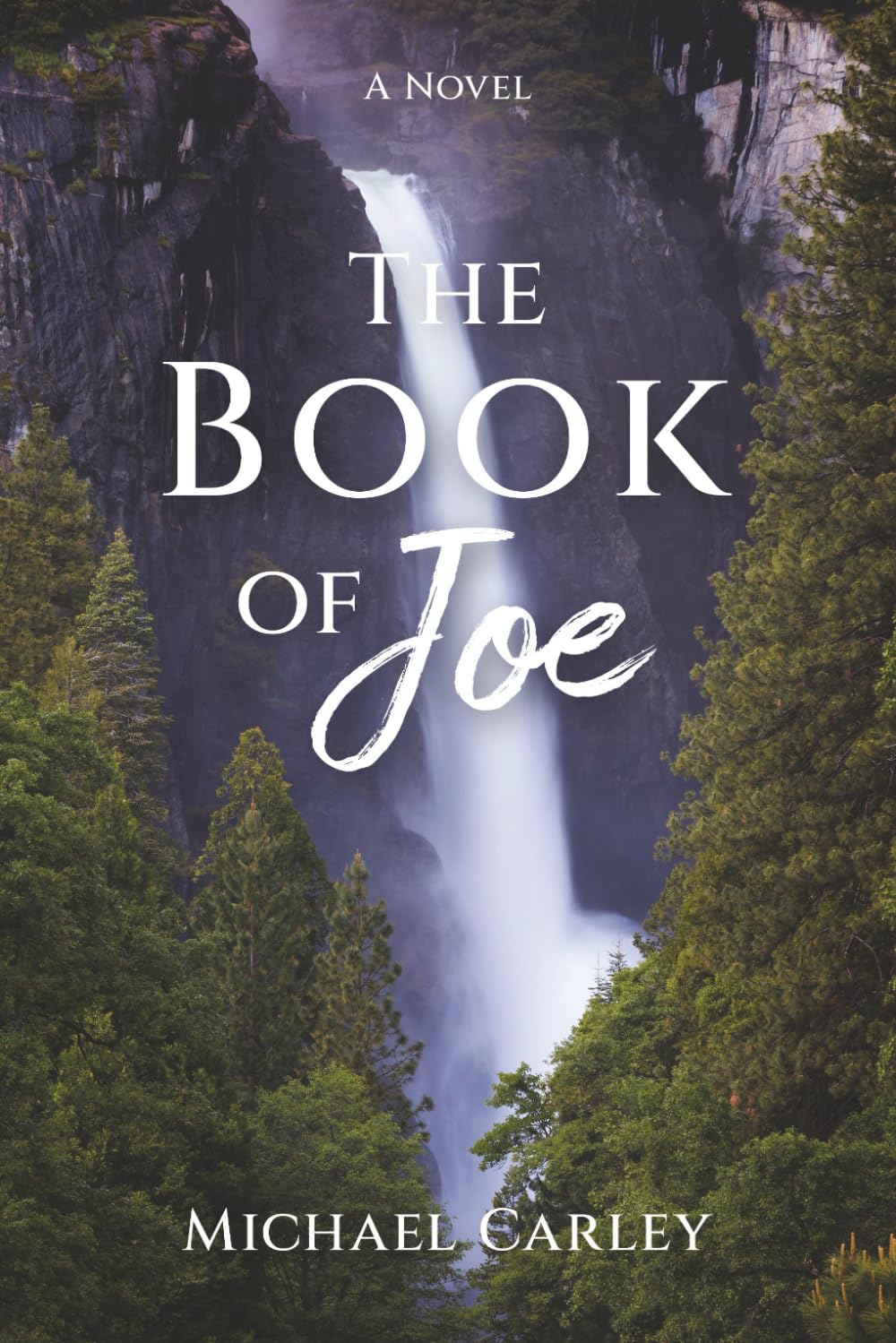 The Book of Joe