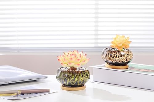 Miniatura 5 de LAMDAWN Lindas macetas de cerámica para suculentas, macetas de 3.7 pulgadas con drenaje y bandeja de bambú, juego de 5 plantas no incluidas (colores