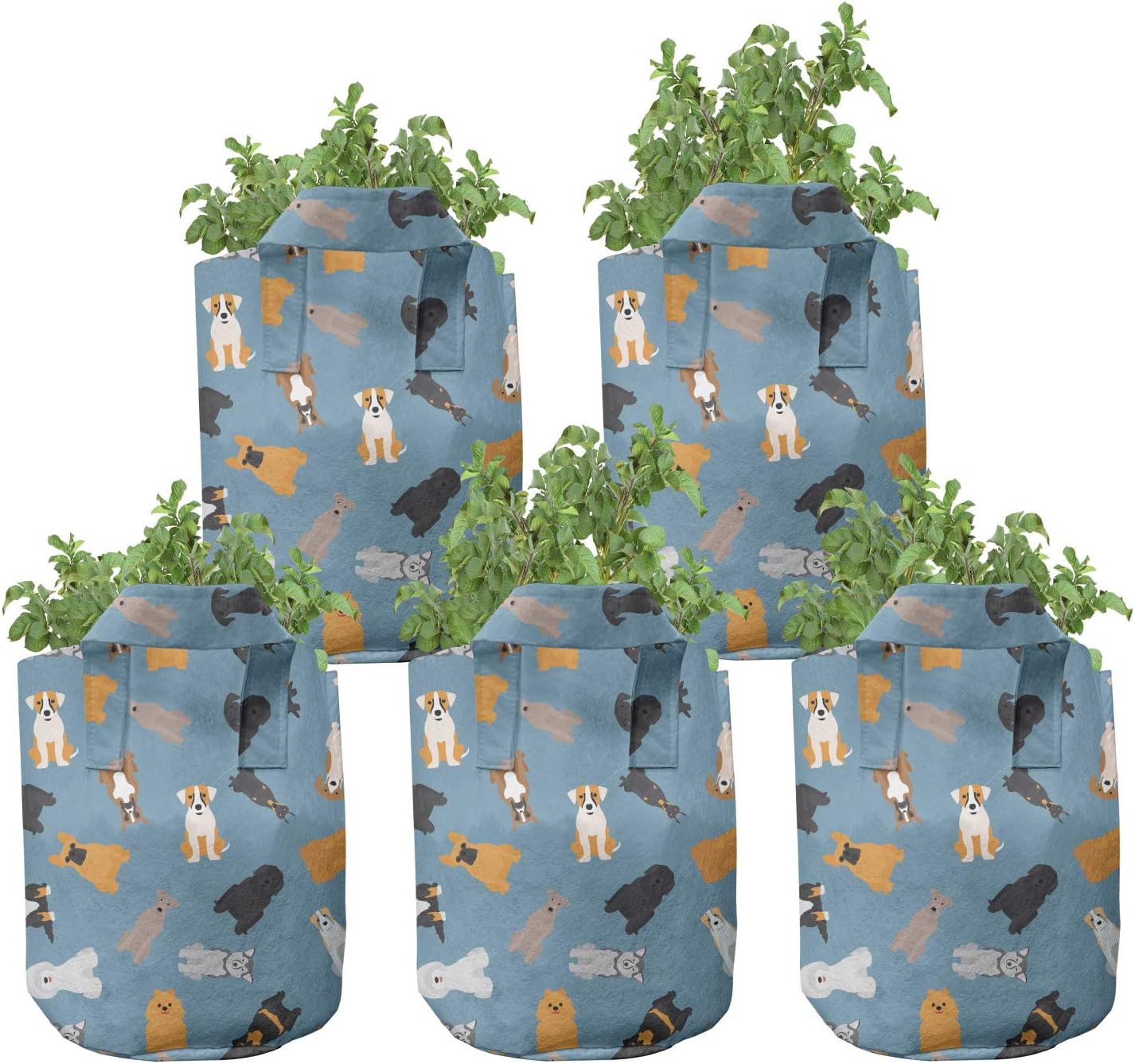 Lunarable Cartoon Grow Bags 5-Pack, Style Dogs Breeds, Heavyduty Fabric Pots with Handles for Plants, Multicolor