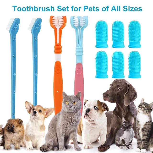 Foto 3 de 7 de JOOTUEPO Cepillos de Dientes para Perros, 10 Piezas Cepillos de Dientes de Doble y Triple Cabezal