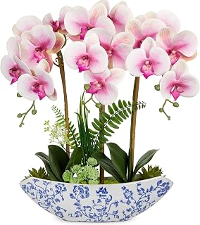 Briful 18 Inch Pink Orchid in Blue/White Pot