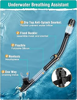 Snorkel Set Adults Snorkeling Gear Anti-Fog Panoramic View Swim Mask Dry Top Snorkel Kit with Carry Bag for Snorkeling Scuba Diving Swimming Travel