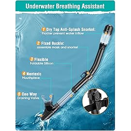 Seovediary Snorkeling Gear for Adults Anti-Fog Panoramic View Snorkel Mask Set Dry Top Snorkel Kit with Carry Bag for Snorkeling Scuba Diving Swimming Travel