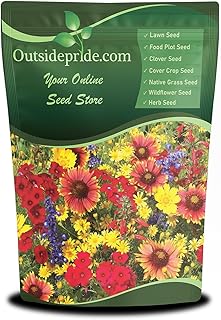 Outsidepride Texas & Oklahoma Wildflower Seed Mix - 1 lb. Drought-Tolera...