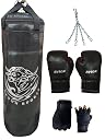 Byson Mighty Warriors Boxing Kit Set for Junior and Senior (36inch Punching Bag,12OZ Boxing Gloves,Chain and Hand Wrap) Heavy Bag gallery image
