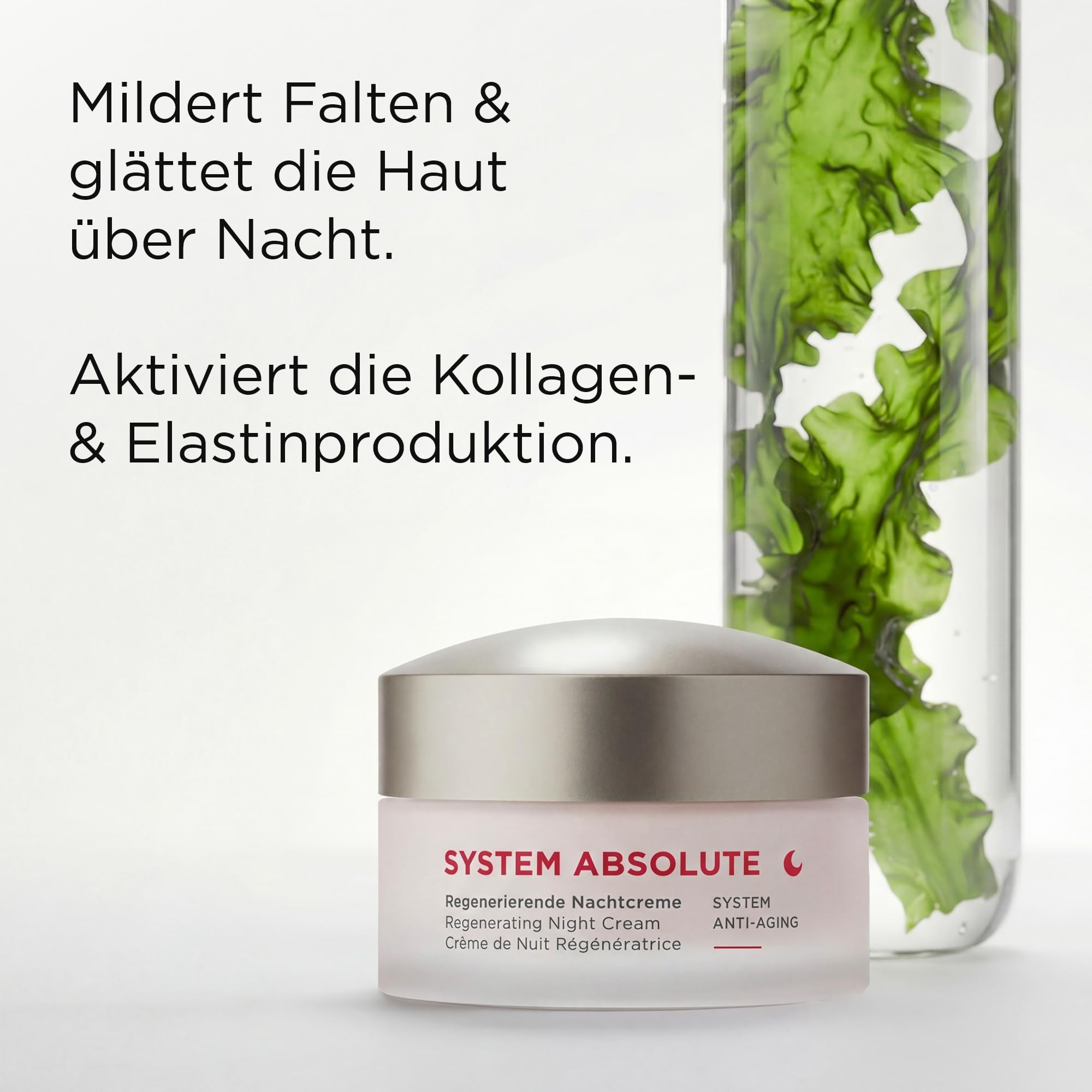 ANNEMARIE BÖRLIND SYSTEM ABSOLUTE Nachtpflege-Set 50ml + 5ml Geschenk | Regenerierende Nachtcreme, Anti-Aging Revitalizer, Anti-Aging Nachtpflege, Aktiviert Kollagenproduktion, Gegen Falten