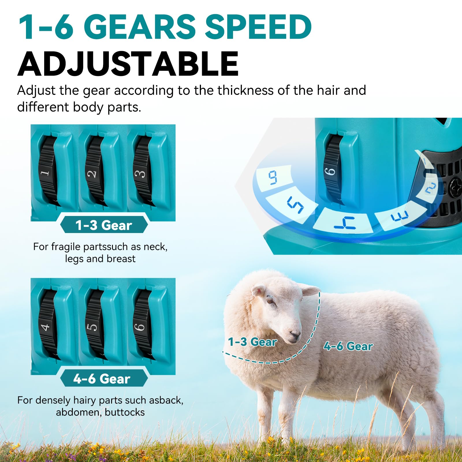 Yofidra Tosatrice elettrica per pecore 550W, Tosatrice a batteria con 6 velocità, Lama a 13 denti, 2 batterie da 3000 mAh, Tosatrice professionale per lana per pecore, capre e alpaca