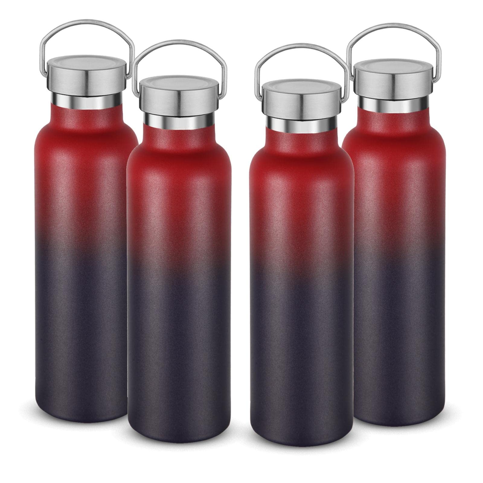 Neihepal Izolowane butelki na wodę 590 ml, 4 sztuki, butelka sportowa ze stali nierdzewnej z pokrywką uchwytu, metalowy termos wielokrotnego użytku do szkoły, rowerzystów, wędrowców, prezent (ciemna tęcza, zestaw 4 szt.)