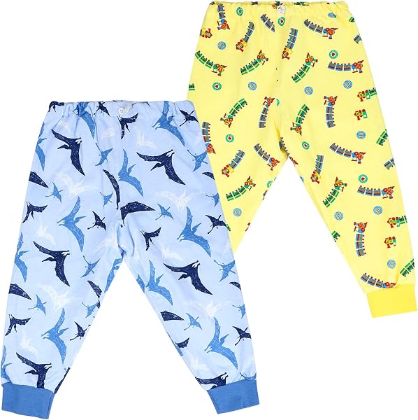 FLYISH DIRECT Potty Training Pants in Trouser Style, 2 Pieces of Waterproof Diaper Skirt, Absorbent Cotton Reusable Toilet Training Pants 3-5 Years, Train & Pterosaur, M - 1