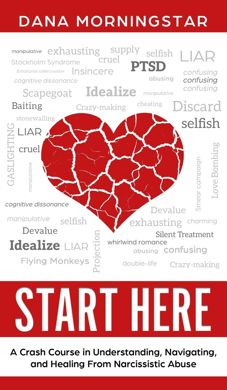 Start Here: A Crash Course in Understanding, Navigating, and Healing F