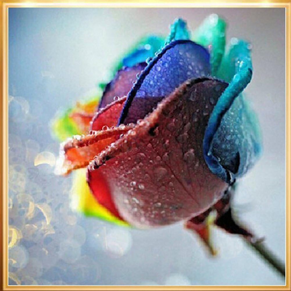Awakingdemi 5D DIY Diamond Painting Colorful Rose Embroidery Paint Cross Stitch Craft(3030cm)