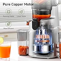 Vista 5 de AMZCHEF Cold Press Juicer with 5.8" Large Feed Chute, Slow Masticating Juicer for Whole Fruits & Vegetables, 3-Layer Strainer, Copper Motor, High