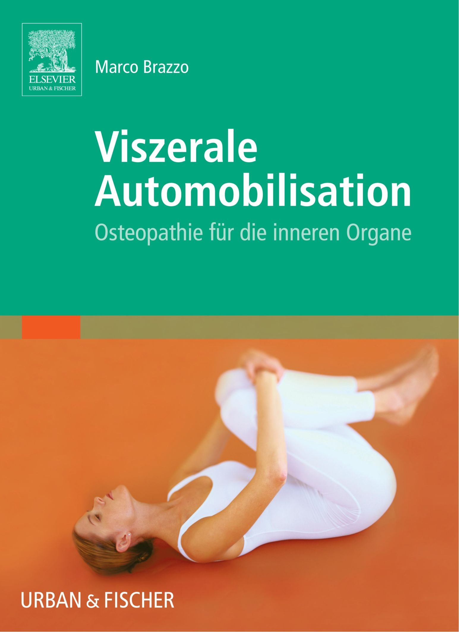 Viszerale Automobilisation: Osteopathie für die inneren