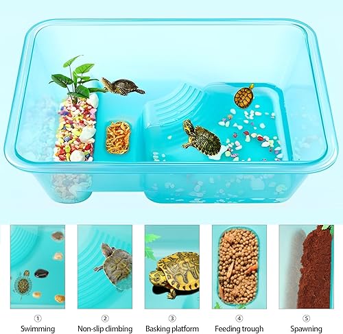 Miniatura 5 de Fhiny Paquete de 2 tanques de tortuga con tapa, caja de cría de tortugas de plástico pequeña y mediana con plataforma para tomar el sol y acuario de