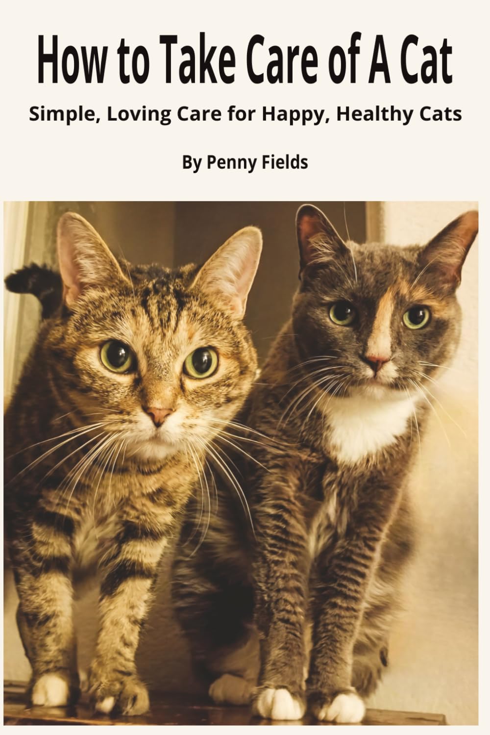 How To Take Care of a Cat: Simple, Loving Care for Happy, Healthy Cats