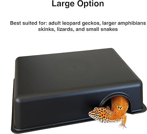 Miniatura 5 de Caja de plástico para piel de reptiles para geckos de leopardo, serpientes, lagartos, serpientes de maíz, pequeña y juvenil