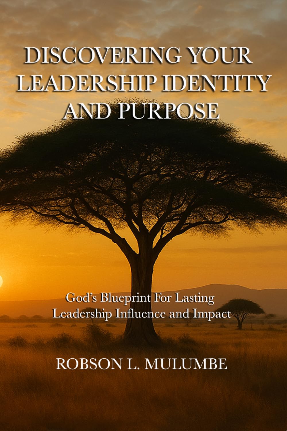 Discovering Your Leadership Identity And Purpose: God's Blueprint For Lasting Leadership Influence And Impact