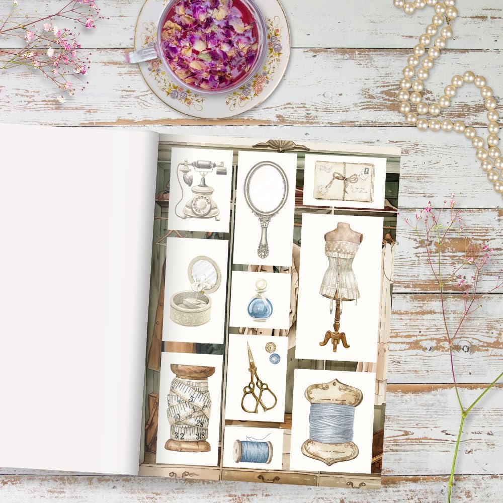 Daphne's Diary Sticker Book | 750 Creative Stickers | Ideal for Diaries, Scrapbooks, and Bullet Journals | an Inspiring Book Full of Art Illustrations, Lifestyle, and Decorative Stickers