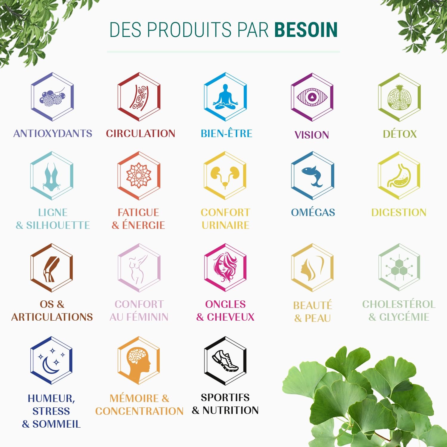 HERBA DEF ORL - Booster Immunité - Complément Alimentaire Défenses - Virus Rhume Otite Sinusite - Extraits Secs - 150 Gélules - Fabriqué en France - Vegan - Sans Additifs Allergènes OGM
