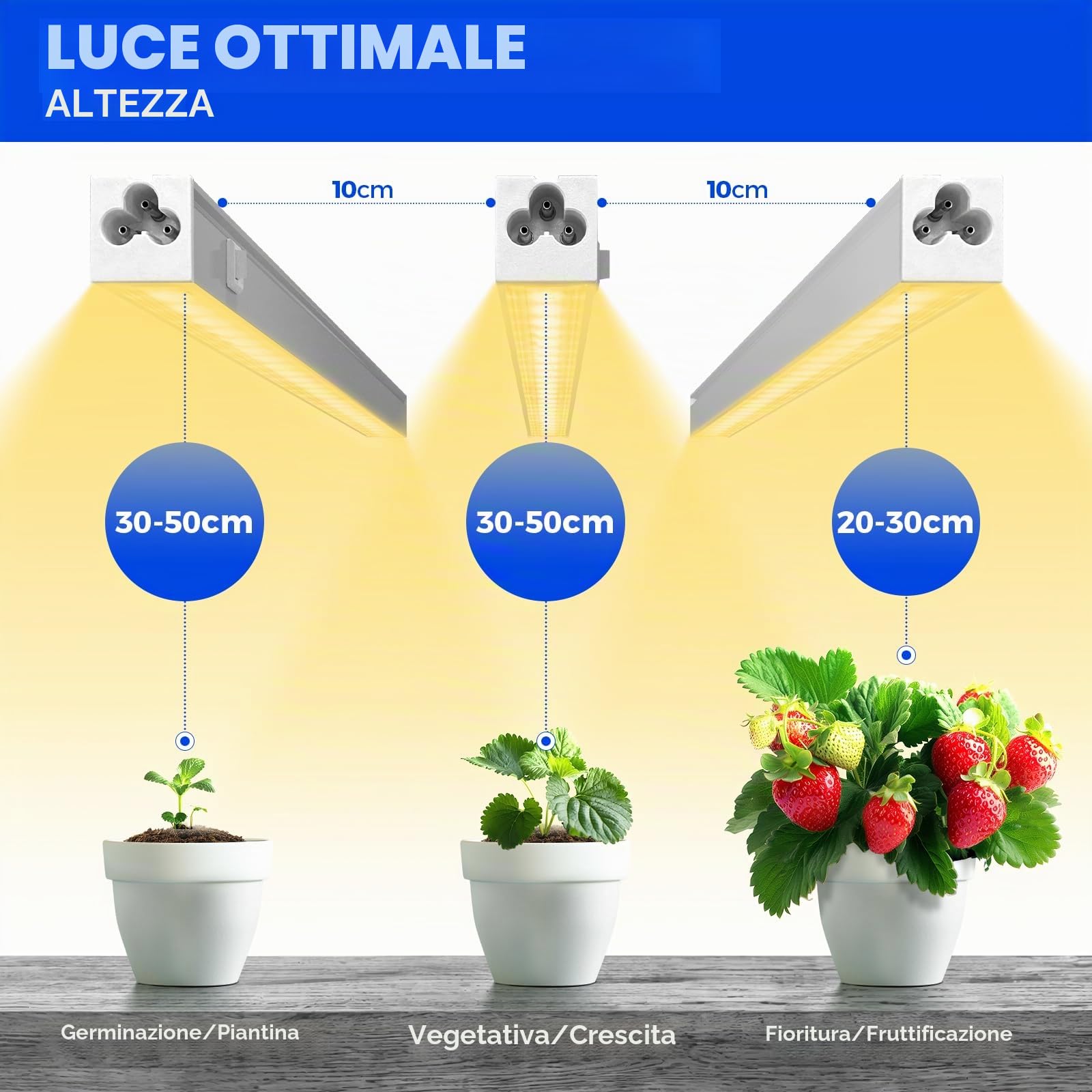 Barrina T5 Lampada per piante da interni, gialla, 29 cm, LED a spettro completo, collegabile, striscia luminosa a LED per coltivare con interruttore, Plug and Play, confezione da 4