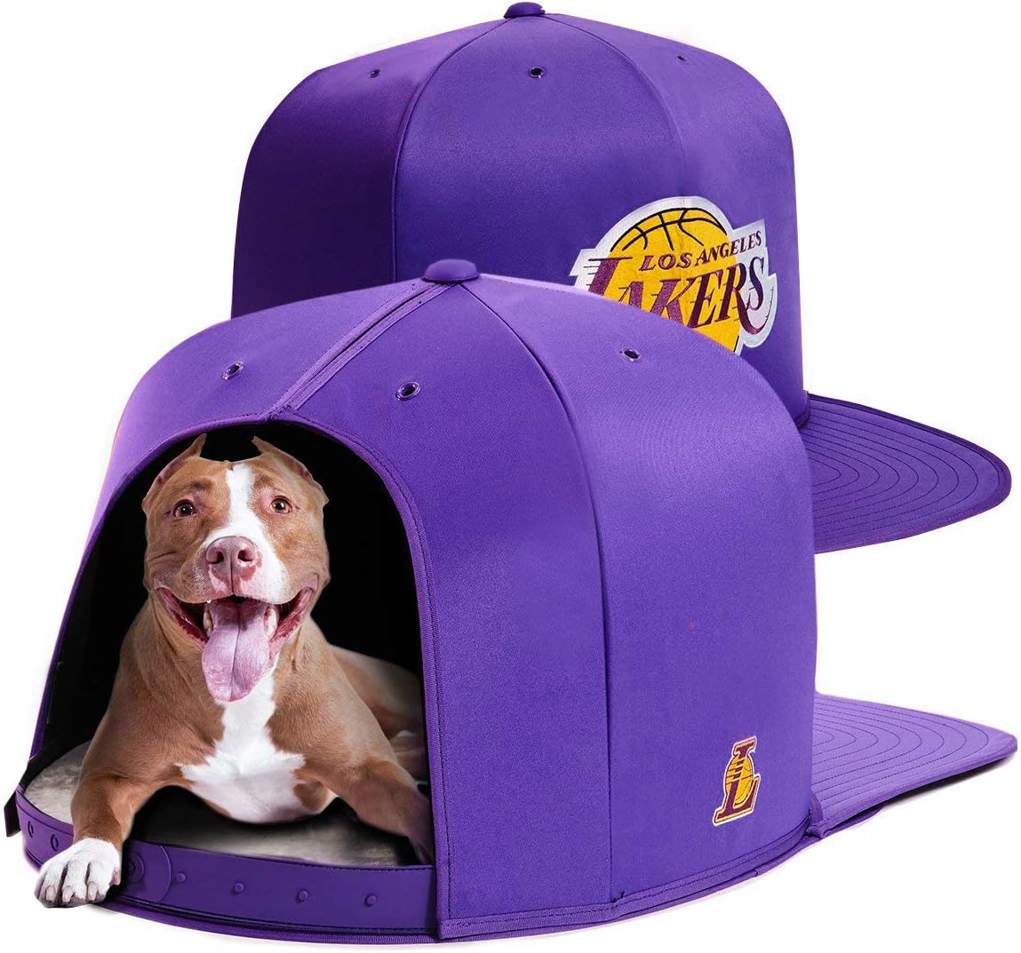 dodger hat dog house