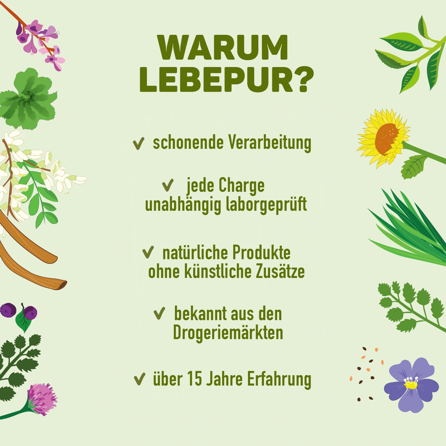 Lebepur BIO SUPER GREEN Pulver 500g - Pflanzenpulver mit Gerstengras, Weizengras, Spinat, Brennnessel, Grünkohl Chlorella und Spirulina - für Green Smoothie geeignet in Rohkostqualität