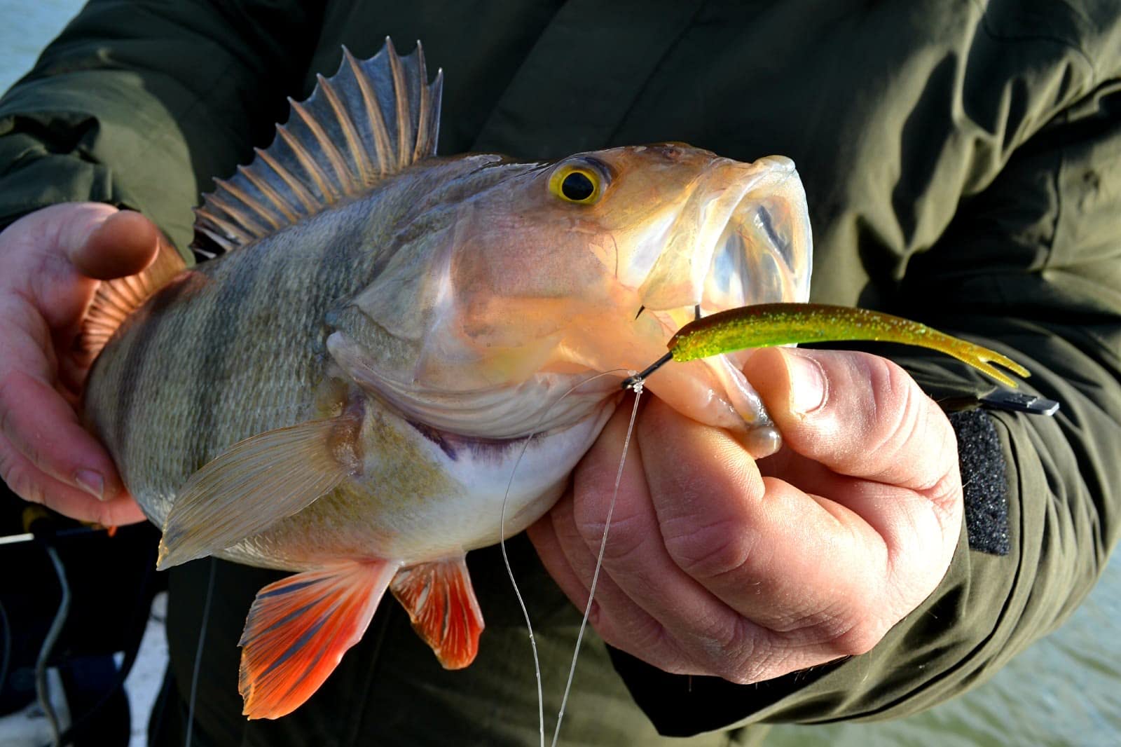 Barsch Box 35teilig Gummifische Hardbaits Set mit Wobbler Drop-Shot und Zubehör zum Barschangeln