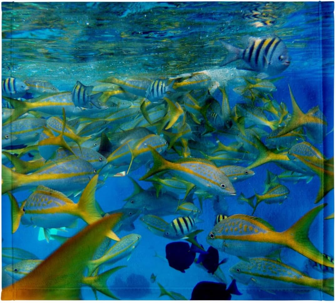 3dRose Many Colorful Fish in the Ocean 22x30 Bath Hand Pool Towel
