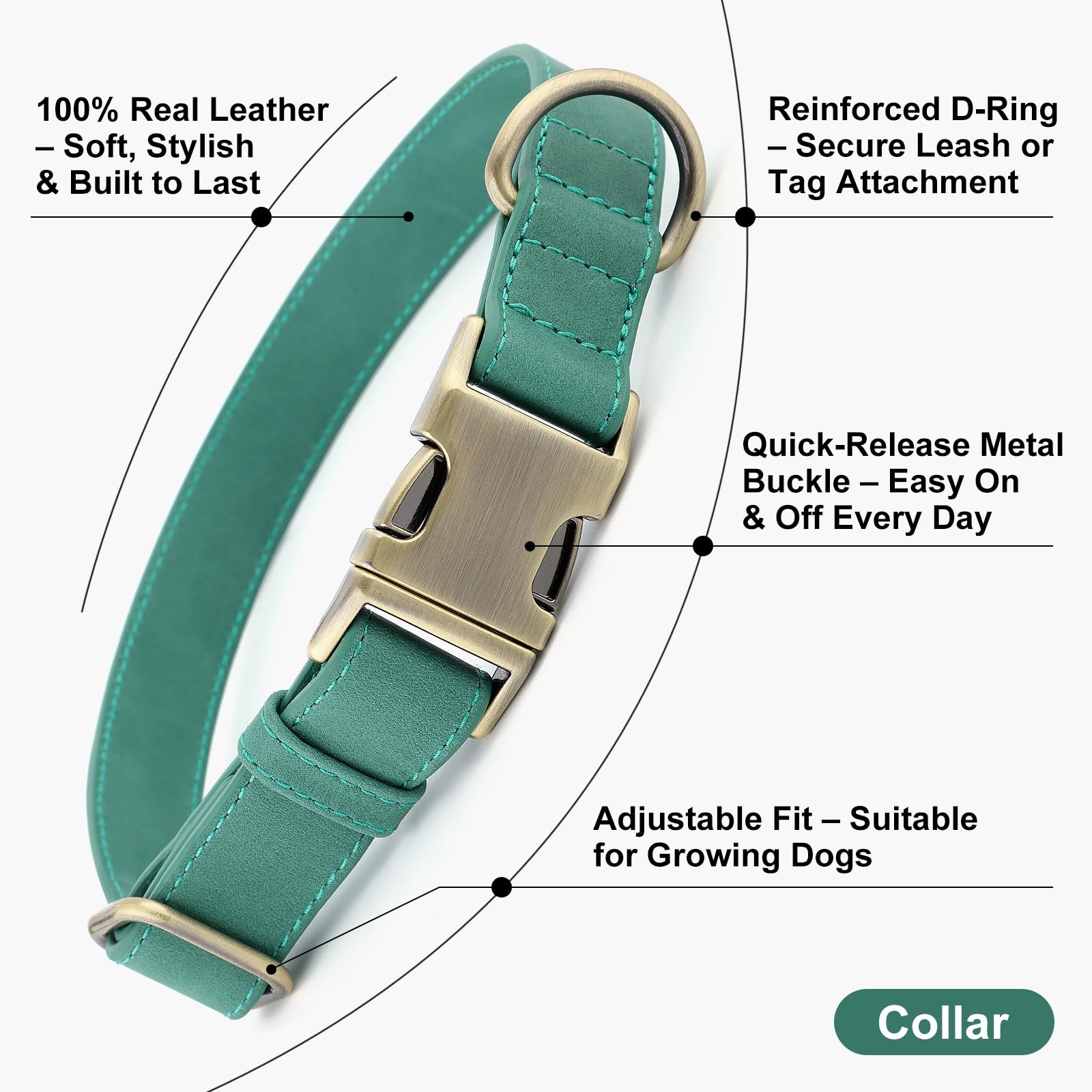 Plutus Pet Genuine Leather Dog Collar, Adjustable Pet Collar with Quick Release Metal Buckle - Image 2