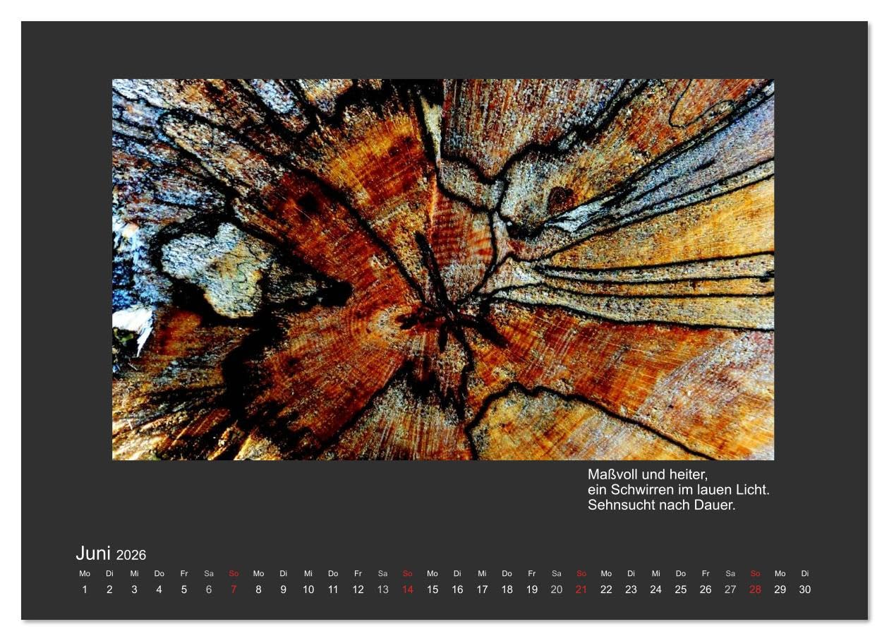 MAGIE HOLZ 2026 (hochwertiger Premium Wandkalender 2026 DIN A2 quer), Kunstdruck in Hochglanz: Holzfotografien mit Haikus (CALVENDO Natur)