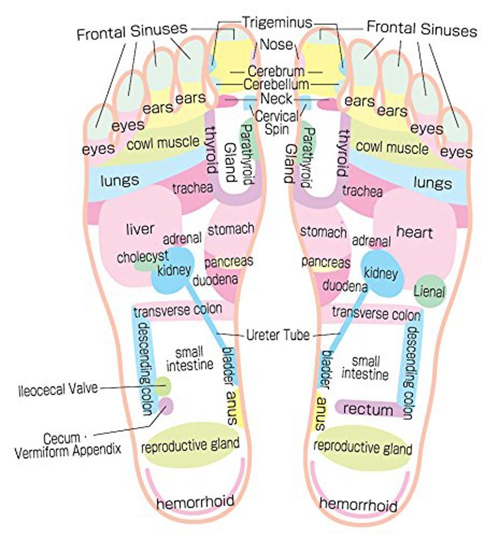Machak Manual Massage Acupressure Massage Chappal Leg Foot Massagar (Free Size, Black) Machak Manual Massage Acupressure Massage Chappal Leg Foot Massagar (Free Size, Black)