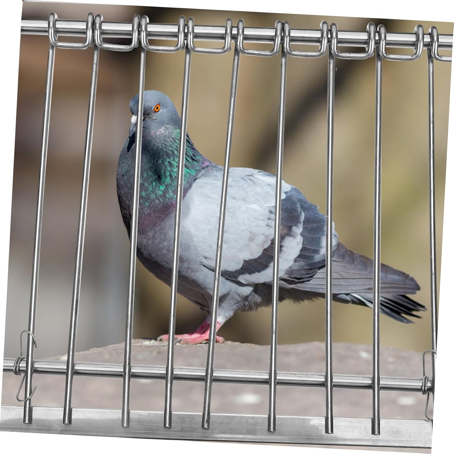 Racing Pigeon Door Stainless Steel Pigeon Cage Accessory Easy Installation for Secure Bird House Entry Design for Safe