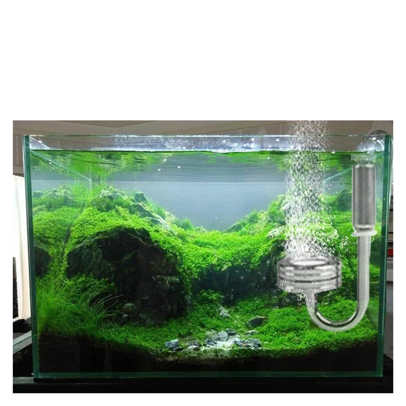 Kit de Sistema generador CO2 Cilindro Acero Inoxidable for Acuario 5L con válvula solenoide, difusor Burbujas, Reactor dióxido Carbono(1L)