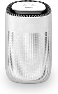 Tenergy Sorbi 1L Quiet Dehumidifier with True HEPA Filter, Auto Shutoff, 750ml/Day Removal for Closets, Bathrooms & Small Rooms