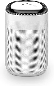 Tenergy Sorbi Desumidificador de ar de 1000 ml com função de purificação de ar, filtro HEPA verdadeiro, desligamento automático, controle de toque ajustável, eliminador de alergias ultra-silencioso,