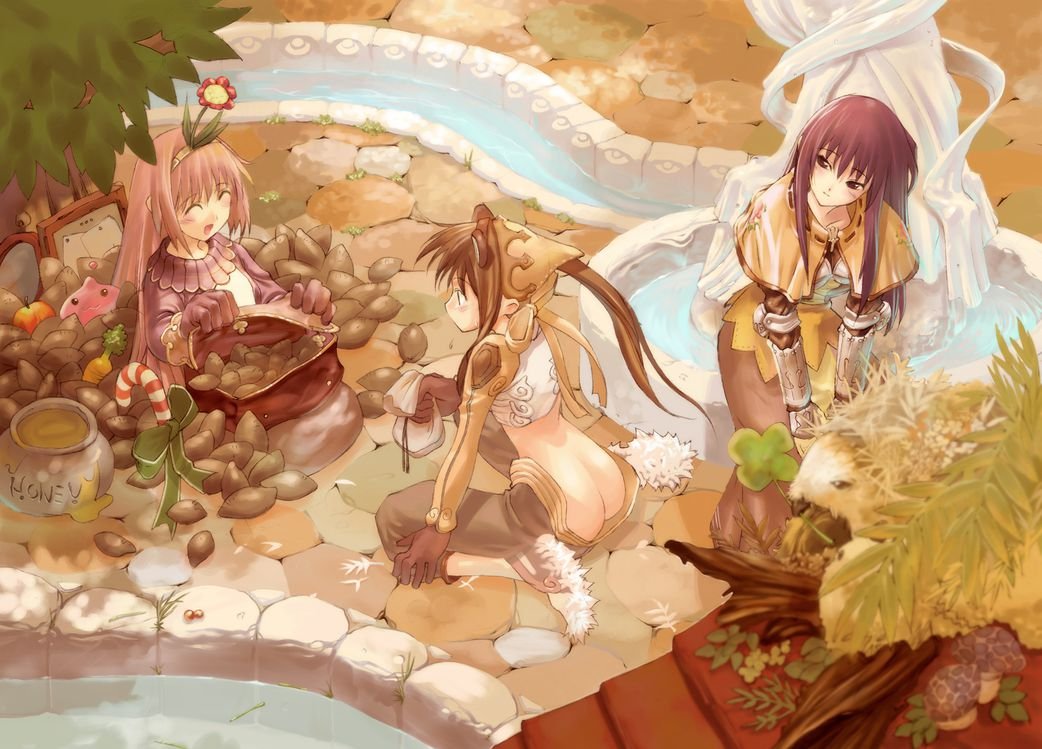 Amazon.com: Ragnarok Online Customized 19x14 inch Silk Print