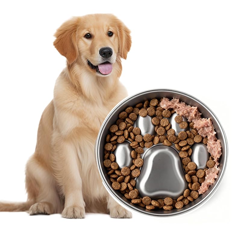 Comedouro lento para cães em aço inoxidável 18/8 PAWSPIK com base de silicone, 4 xícaras