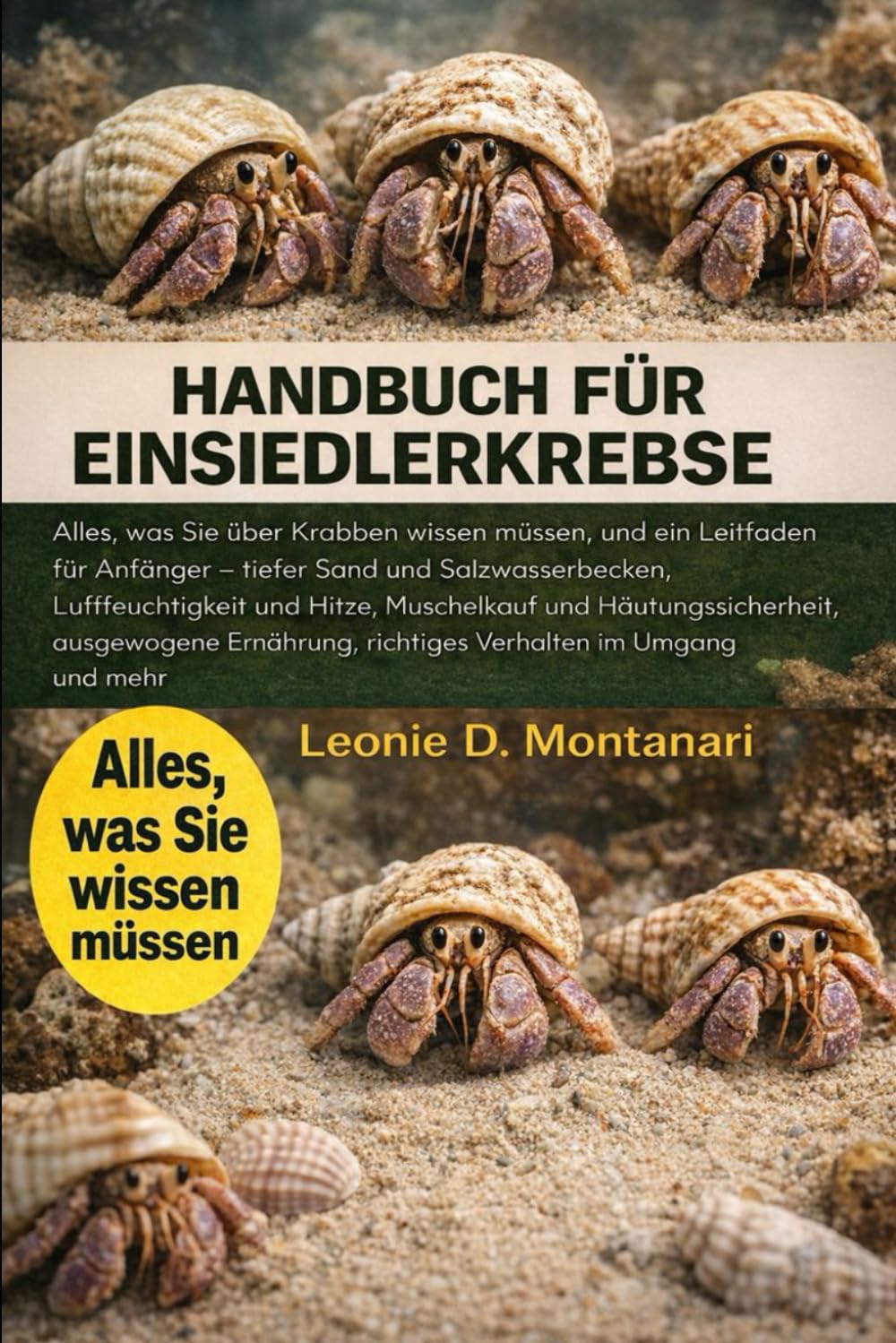 HANDBUCH FÜR EINSIEDLERKREBSE: Alles, was Sie über Krabben wissen müssen, und ein Leitfaden für Anfänger – tiefer Sand und Salzwasserbecken, ... ausgewogene Ernährung, richtiges Verhalten im