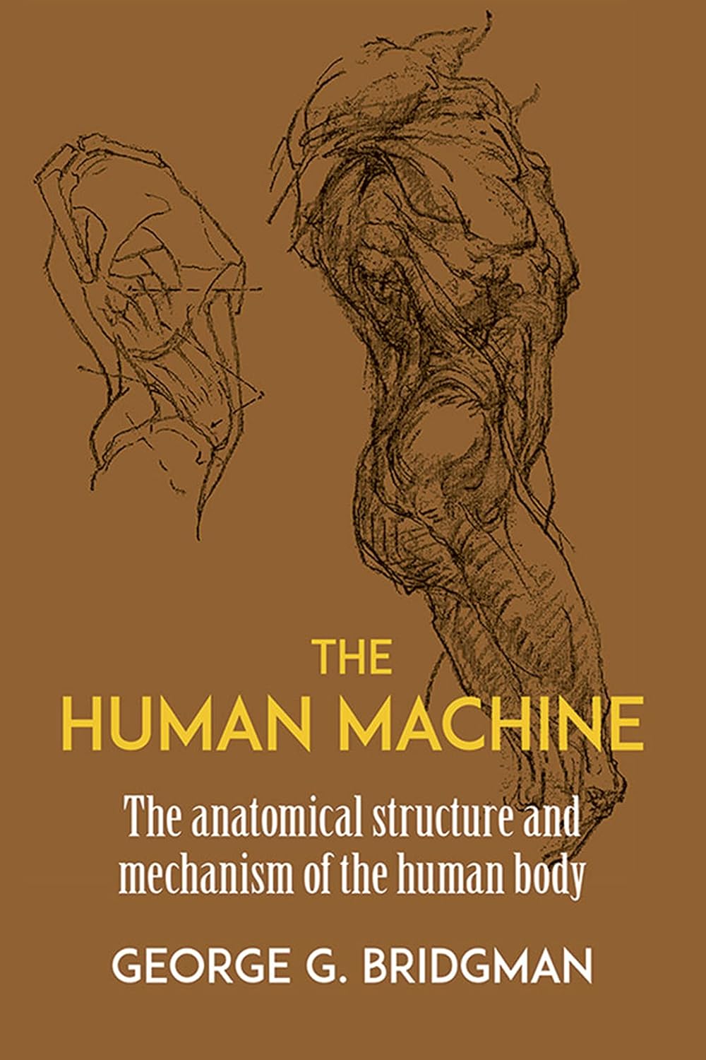 The Human Machine Dover Anatomy For Artists George B Bridgman