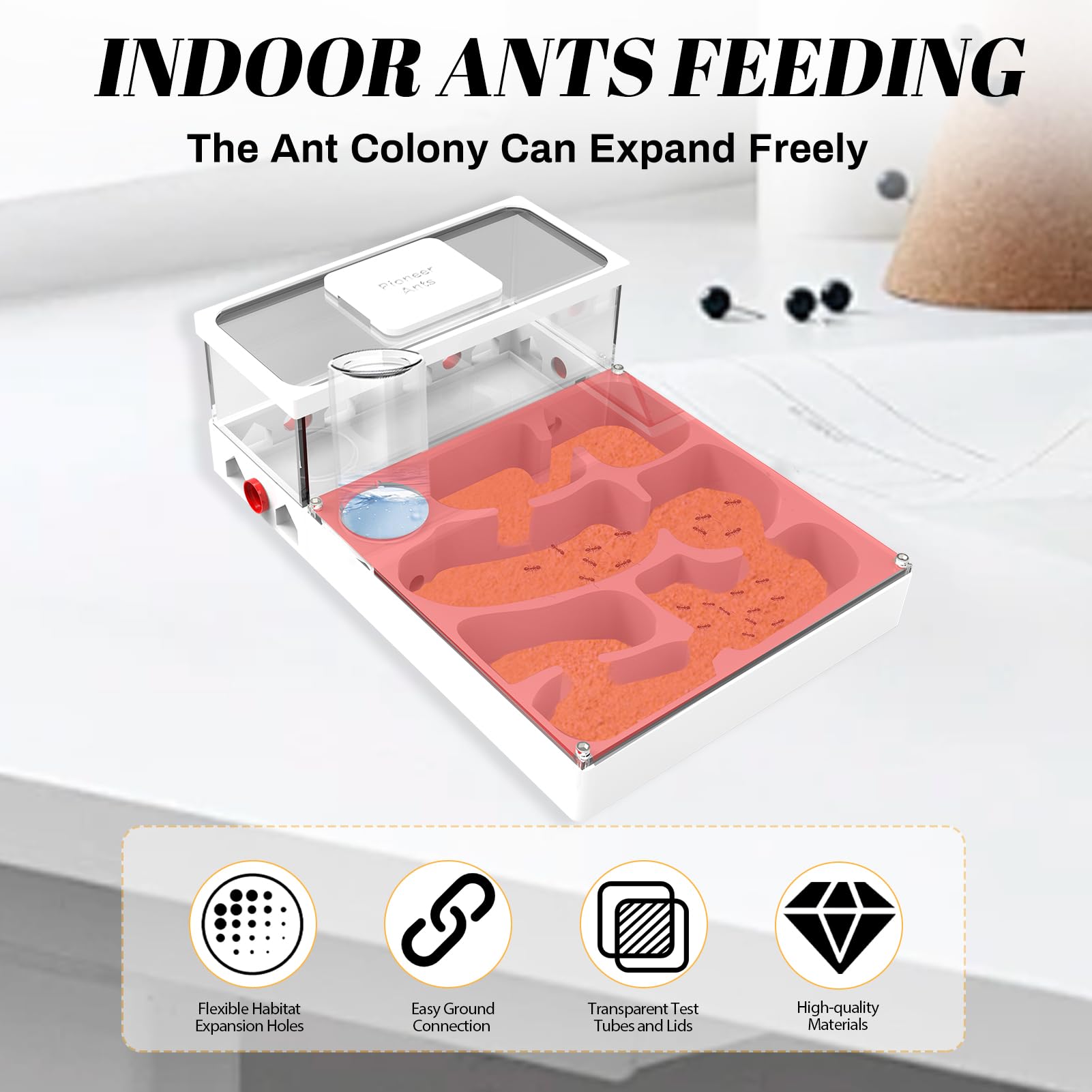 PioneerAnts Transparent Ant Habitat - Image 3