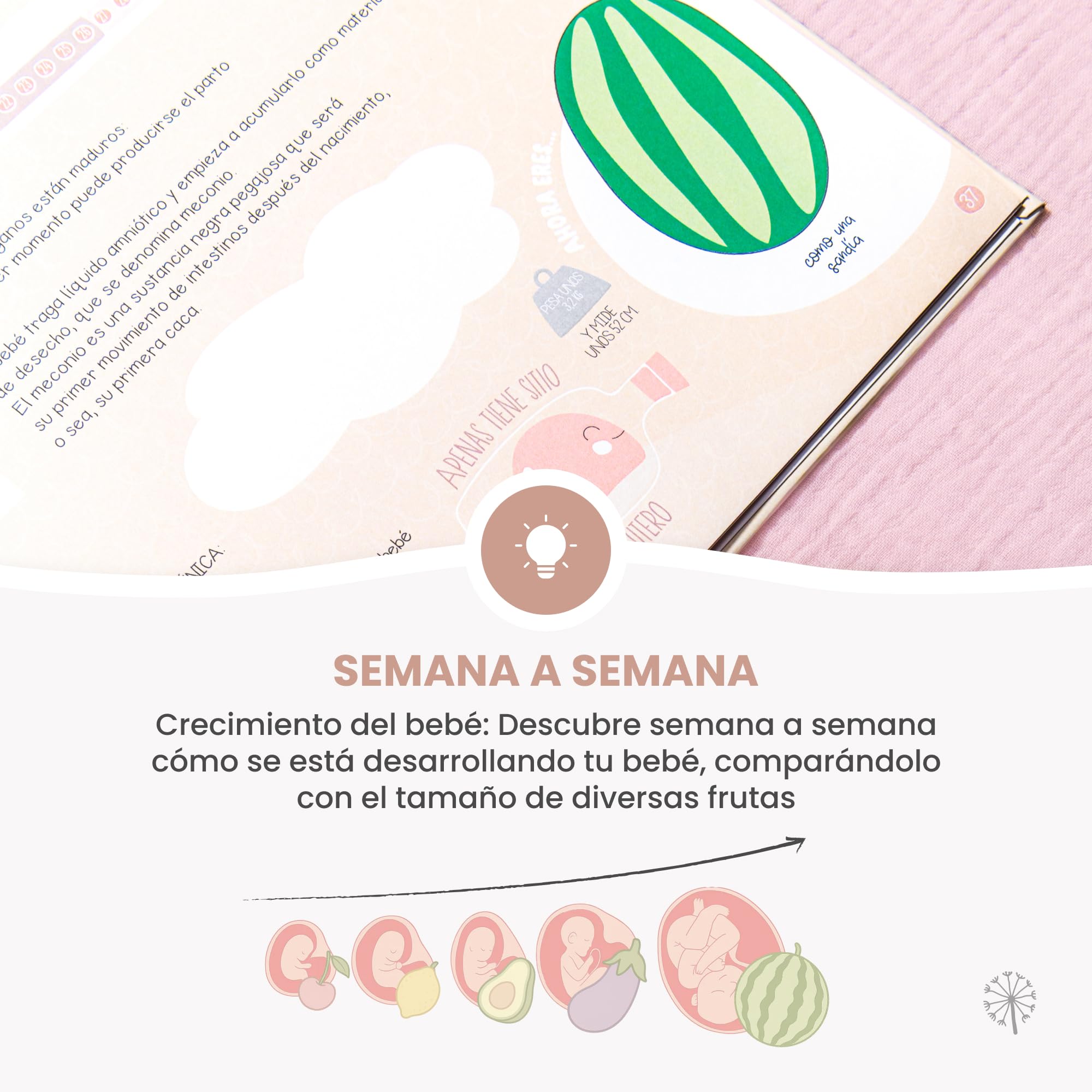 MIMUSELINA Diario Embarazo para Rellenar Cada Semana | Libro Embarazo Recuerdos con Fotos, Consejos, Pensamientos | Album Bebe con Pegatinas y Gestograma | Regalos Embarazadas Originales | Moderno