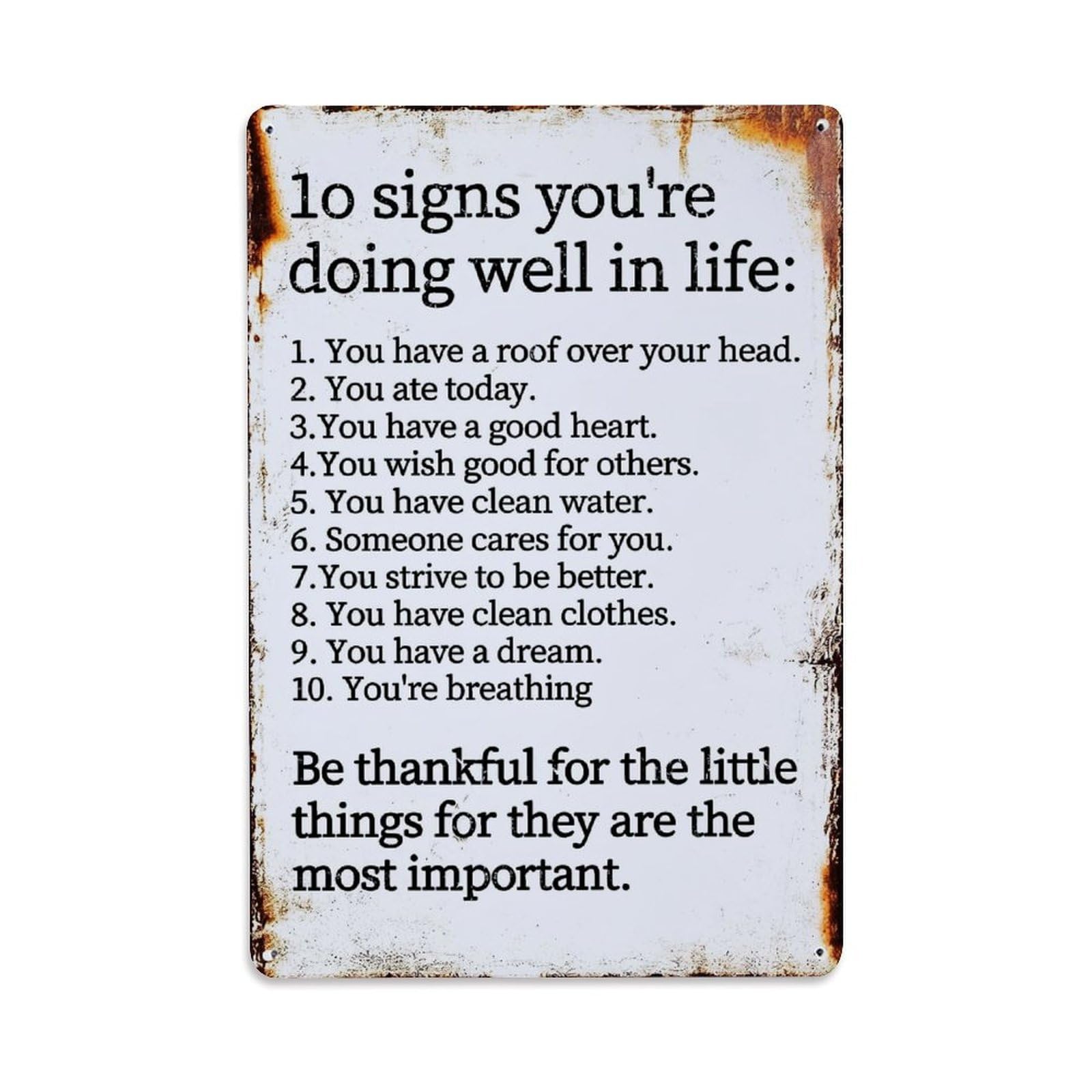 Jdfenggu Vintage Ten Signs You Are Doing Well Retro Metal Tin Sign, Metal Poster For Bar, Home, Man Cave, Kitchen, Laundry Room Art Decor 8X12 Inch
