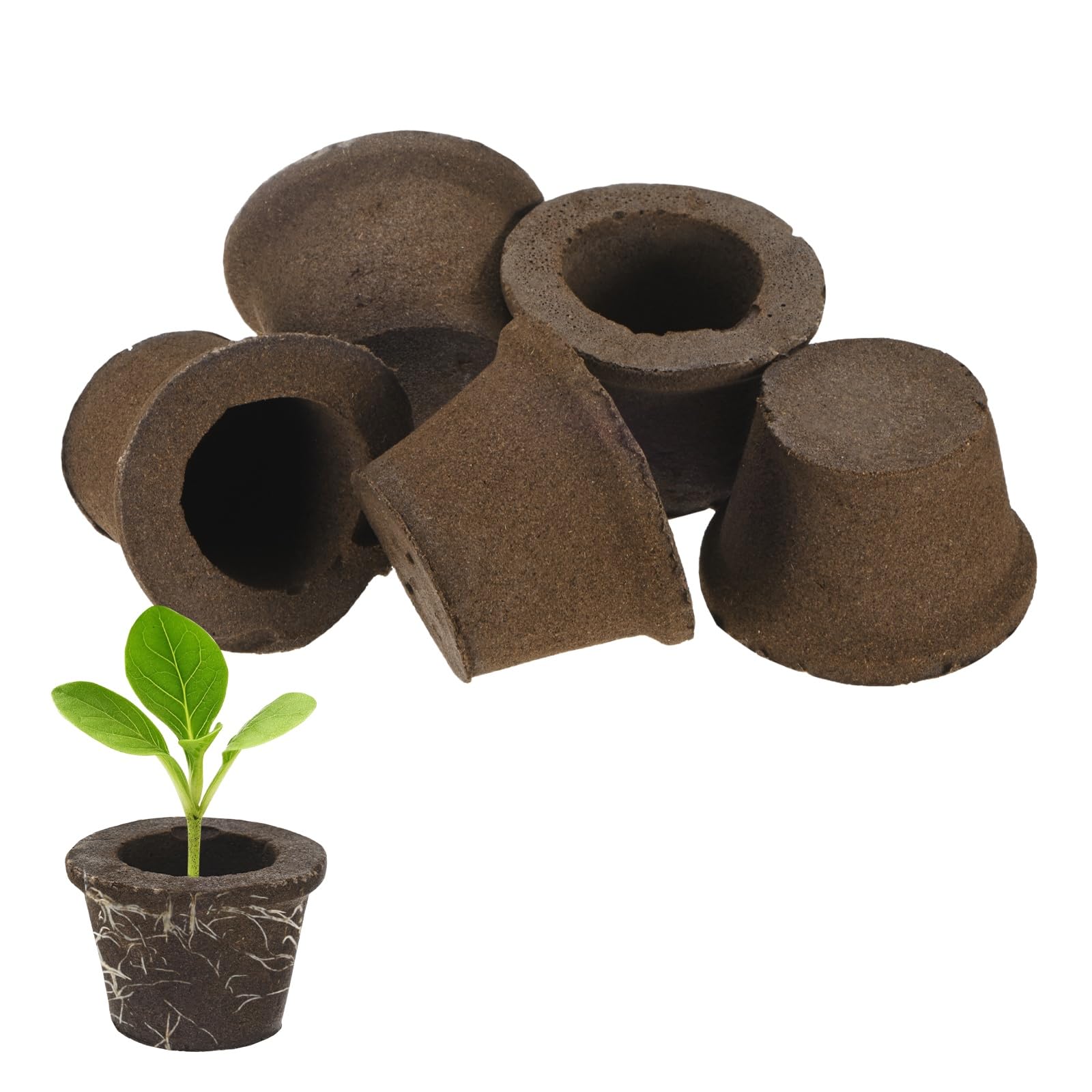 M METERXITY 5-Pack Grow Sponges, 3.5x2.3x2.4 Inch Replacement Root Growth Sponges Seed Pods for Plant Rooting/Seed Germination/Hydroponic Gardens System Supplies, Starter Plug for Seeds
