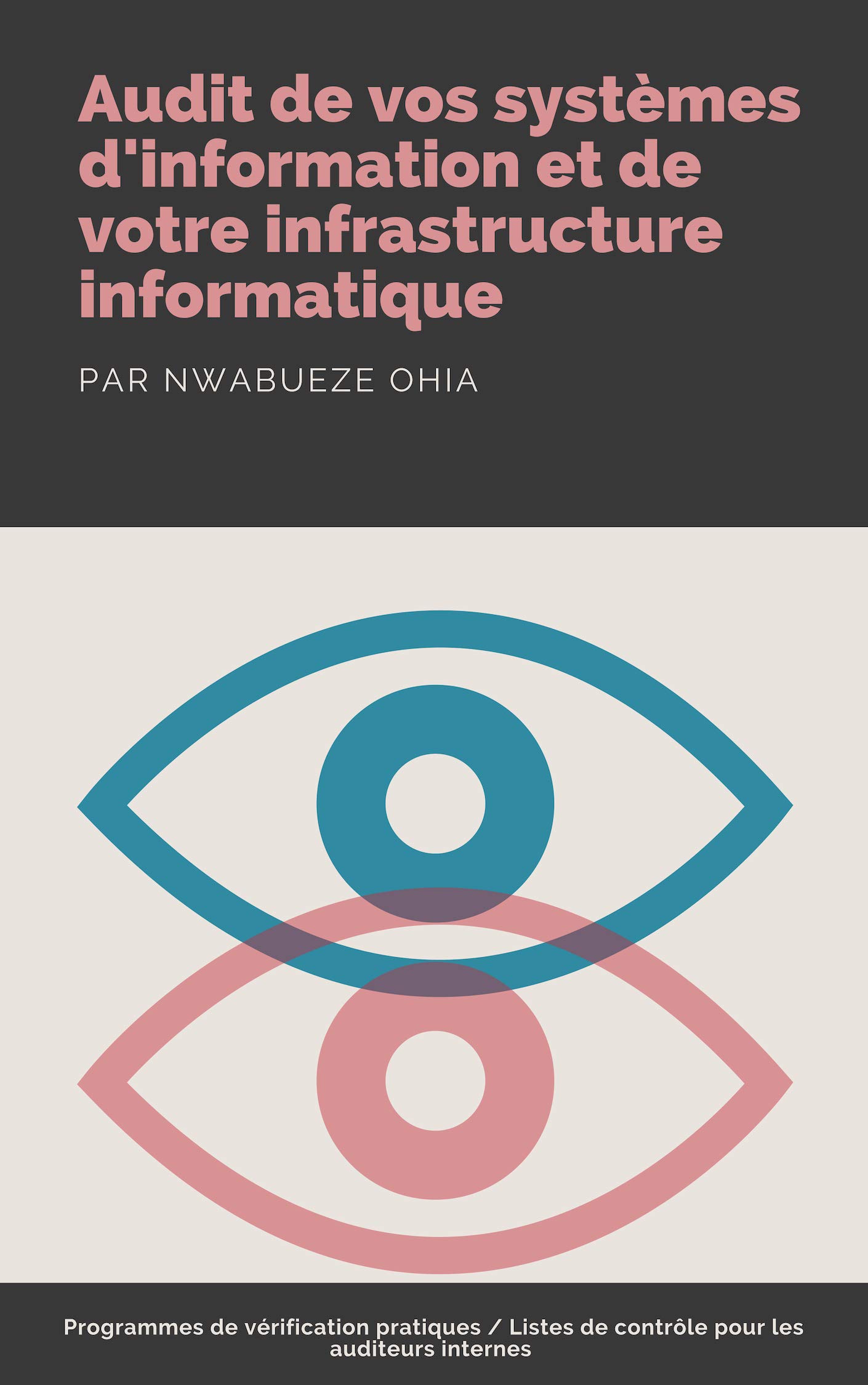 Audit de vos systèmes d'information et de votre infrastructure informatique: Programmes de vérification pratiques/Listes de contrôle pour les auditeurs internes