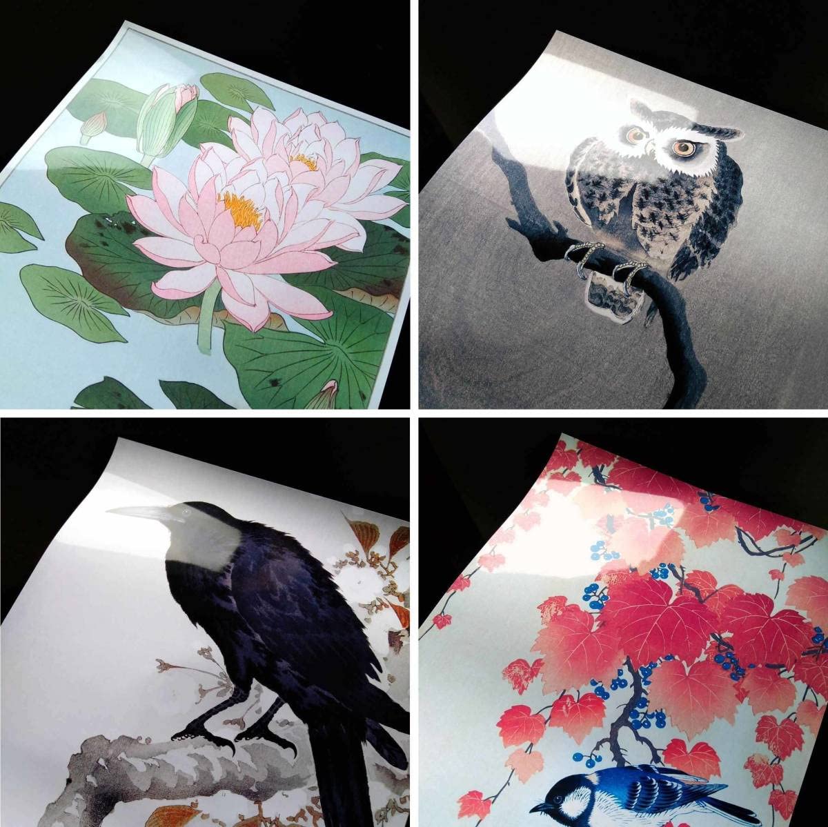 Amazon.co.jp: 小原古邨 二羽のカラス 浮世絵 アート 沢