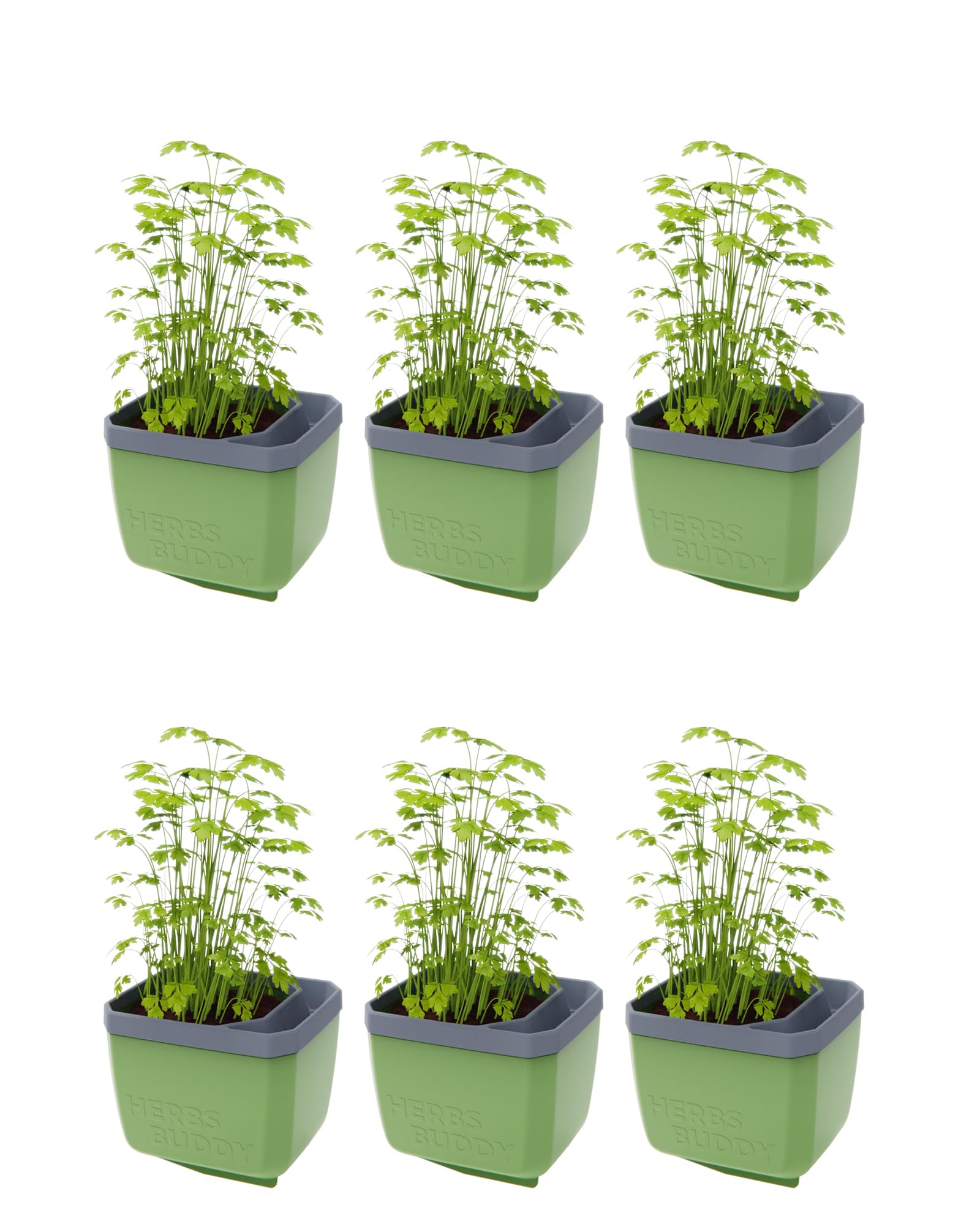 GUSTA GARDEN Herbs Buddy Self-Watering Pot & Herb Pot for Kitchen and Windowsill, Ideal for Basil, Water Tank, Water Level Indicator