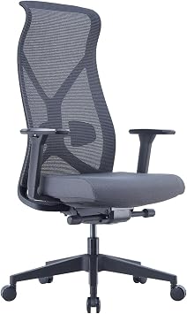 Nova Chair High Back Ergonomic Mesh Chair, Adjustable Lumbar Support, Arms and Seat Depth Tall Enough to Rest Your Head Jet Black Mesh