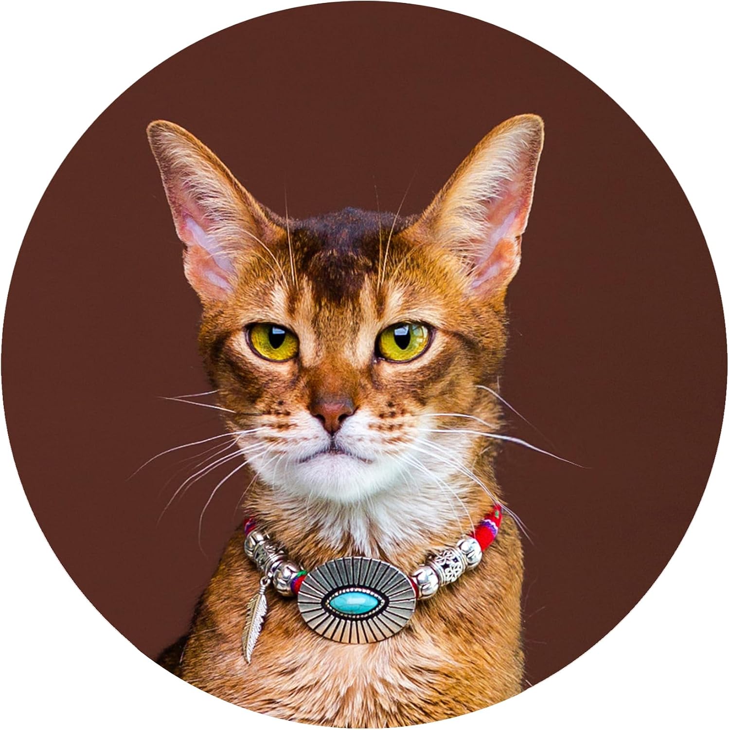 European Vintage Handmade Velvet Cat Choker Collar (XS (6.7", 4.4 lbs), Turquoise)